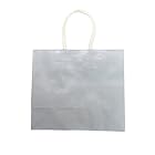 ヘイコー 手提 紙袋 スムースバッグ 24-11 パール ライトブルー 24x11x21cm 10枚