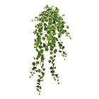 東京堂 造花 ライトグリーン 葉の全長 約3~6.5×全長 約130×幅 約40cm MAGIQブランド マチュリテコットンウッドロングバイン FG005279-zzz