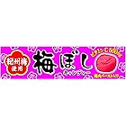 ライオン菓子 梅ぼしキャンディースティック 10粒 ×10個