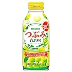 サンガリア つぶみ白ぶどう 380g ×24本