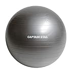 キャプテンスタッグ(CAPTAIN STAG) エクササイズ フィットネス 体幹トレーニング フィットネスボール Φ65cm シルバーホワイト Vit Fit UR-863