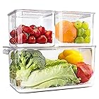 elabo 食品保存容器 冷蔵庫 野菜セーバー - 3点セット 積み重ね可能 冷蔵庫オーガナイザー キーパー 引き出し ビン バスケット 蓋付き 取り外し可能な排水トレイ付き 野菜 ベリー フルーツ 野菜用