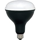 アイリスオーヤマ LED 作業灯 投光器 投光器用交換電球 LED電球 ワークライト 1800lm