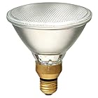 エルパ (ELPA) ハロゲンビームランプ散光 照明 電球 1250lm 90W EBRF110V90W