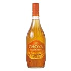 チョーヤ梅酒 The CHOYA CRAFT FRUIT [ 720ml ]