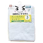 レック(LEC) 激落ちくん マイクロファイバー ぞうきん 20×30cm (3枚入) 汚れ落とし 強力吸水