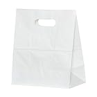 パックタケヤマ 紙袋 イーグリップLL 白無地 50枚×10包 XZT52024