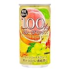 サンガリア 果実味わう 100% フルーツミックスジュース 190g ×30本