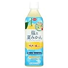 えひめ飲料 塩と夏みかん 490mlペットボトル×24本入×(2ケース)