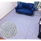 OPIST カーペット ラグマット 抗菌 日本製 江戸間 6畳サイズ 261×352cm 折りたたみカーペット ブルー AM1