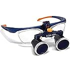 TopSeller 双眼ルーペ メガネ式拡大鏡 ポータブル拡大鏡 虫眼鏡 軽量 装着便利 収納ケース付き FD-503G (3.5X)
