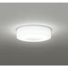 オーデリック LEDバスルームライト 高演色 非調光 白熱灯100W相当 防雨・防湿型 昼白色:OG254873R