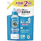 【大容量】ヤシノミ 洗たく洗剤 濃縮タイプ 詰替用 1050ml