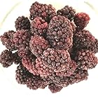【KIMONO FRUITS】冷凍ブラックベリー 3000ｇ (1000g×3） 栄養価の高いブラックベリーは、ポリフェノールやアントシアニンがいっぱい。