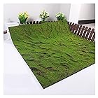 人工苔芝生 シミュレーション芝壁グリーンプラント DIY人工芝 結婚式のミニガーデンマイクロエコボトルの装飾 YQZZX (Color : C, Size : 1x1m)