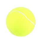 Eboxer ペット用 テニスボール 9.5インチ 超大型犬のテニスボール 噛むおもちゃ 犬おもちゃ 大きい 丈夫 耐久性