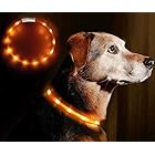 Leeko 犬 光る首輪 LEDライト 3つ発光モード USB充電式 夜 お散歩 安全首輪 取り付け簡単 小型犬 中型犬 大型犬に対応 サイズ調整可能 (オレンジ)