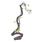 爬虫類人工藤 人工藤 人工ジャングル藤 登り藤 爬虫類テラリウムの装飾 登り木 隠れ家 両生類 爬虫類 生息地造園 植物 しなやか 安全(#2)