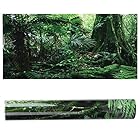 xuuyuu. 水族館のポスター バックスクリーン 熱帯雨林 装飾用紙 水中バックグラウンド 水中背景 自己粘着性 雰囲気を作り出し 水中 海草(91*50cm)