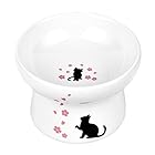 Pknoclan 脚付フードボウル 猫食器陶器 食べやすい猫えさ皿 猫柄ペットボウル 、吐き戻し防止 洗いやすい、小型犬にも