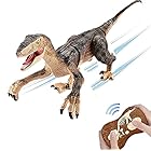 多機能ロボット恐竜 おもちゃ RC恐竜 リモート操作 USB充電式 リアルな外観 科学教育 子供のおもちゃ 誕生日プレゼント (黄)