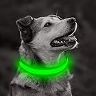 YFbrite 犬 首輪 光る-犬 散歩 ライト 光る首輪 led 首輪 首輪USB充電式調節可能なサイズ3色安全のための視認性の高い犬の首輪ライト夜の道路の歩行事故を防ぎます (グリーン, スモール)