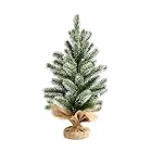 BestBuy ミニ クリスマスツリー 50cm 雪化粧 Christmas tree クリスマス飾り グリーン