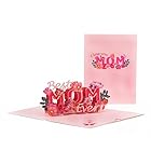 立体 バースデーカード、手作り3Dポップアップカード 母の日カード 立体、母親 誕生日プレゼント、父の日、感謝祭、還暦祝いメッセージカード 敬老の日 happy birthday card (D13)