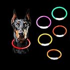 犬光る首輪 [Kuzma] 犬 散歩 ライト USB充電式 LED犬 首輪【視認距離400mで夜間も安心】小型犬 中型犬 大型犬 サイズ調節可能 犬の首輪 ライト