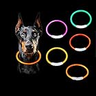 犬光る首輪 [Kuzma] 犬 散歩 ライト USB充電式 LED犬 首輪【視認距離400mで夜間も安心】小型犬 中型犬 大型犬 サイズ調節可能 犬の首輪 ライト