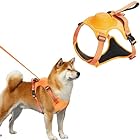 SAEGYPET 犬 ハーネス 2in1 ペット犬一体型ハーネス 犬用胴輪 格納式リード 自動防爆ショック機能 中型犬/大型犬 歩行補助 散歩 ハーネス ズレない 屋外ハイキングに最適 (L, イエロー)