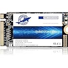 Dogfish M.2 2242 SSD 1TB NVMe PCIe Gen3 x 4内蔵ソリッド・ステート・ドライブ、3D NAND TLC、ゲーミングSSD、R/W 最大2200MB/秒および1800MB/秒 (M.2 2242 PCIe、1