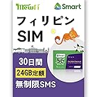 フィリピンsim 30日間データ通信24GB philippines sim card Smartローカル回線利用 4G/5Gネットワーク安定 フィリピンsimカード mewfi