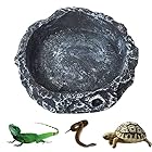 爬虫類は茶碗に餌を与え、樹脂爬虫類水皿食物碗、爬虫類の食べ物と水皿ペット給餌板ヘビガエルヤモリカメトカゲカメレオントカゲ