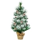 BestBuy ミニ クリスマスツリー 60cm ヌードツリー 松かさ付き 雪化粧 Christmas tree クリスマス飾り グリーン (60cm/松かさ)