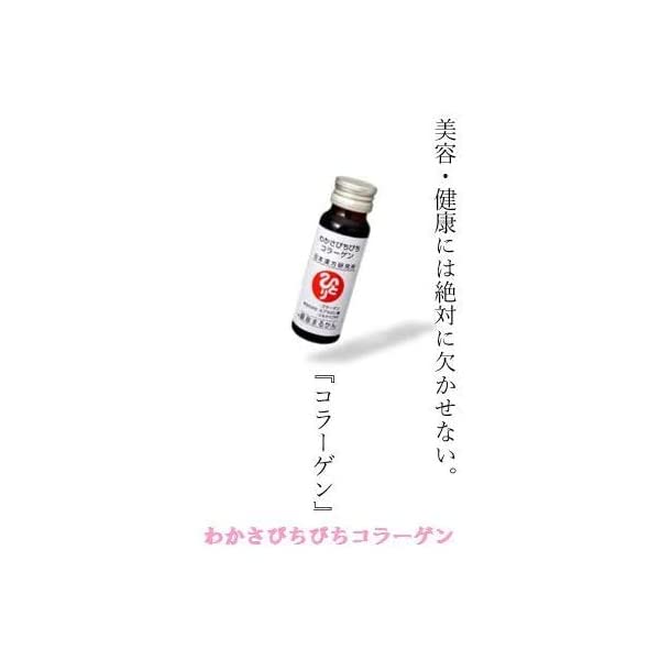税込) まるかん ぴちぴちコラーゲン 5本 酒 | www.mkc.mk