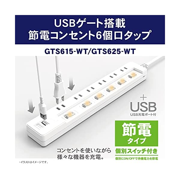 トップランド 電源タップ 雷ガード 個別スイッチ付き USBゲート 