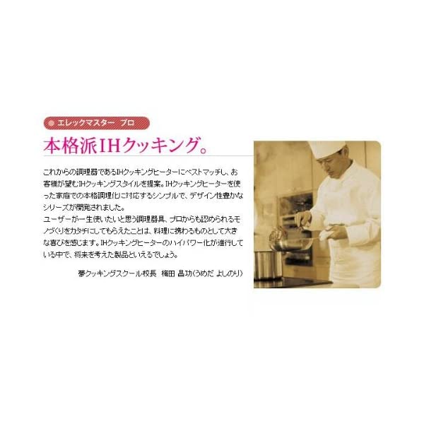 ヤマダモール | フジノス エレックマスタープロ(IH対応) 天ぷら鍋
