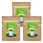 桑の葉茶 パウダー 1ｇ×30包×3袋 国産 粉末