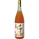 熟成高千穂梅酒 [ 1800ml ]