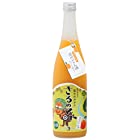 温州みかん酒(丸ごと搾り) [ リキュール 720ml ]