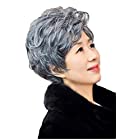 yasushoji 女性用 かつら ウイッグ レディース 中高年 ヘアピース 白髪混じり 白髪60％ ショート 短い ウエーブ パーマ ふんわり グレー (白髪混じりかつら＋小さな櫛 セット)