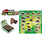 4Dパズル 昆虫DX 20個入りBOX