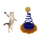 猫 おもちゃ 猫じゃらし 猫ボール ペット 運動 不足 ストレス 解消 ダイエット キャットタワー