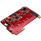 StarTech.com ラズベリーパイ/Raspberry Pi用USB - M.2 SATA変換基板 ラズパイ電子工作/開発ボード PIB2M21