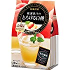 日東紅茶 厳選果汁のとろける桃 10P×6個
