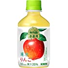 小岩井 純水りんご 280ml PET×24本