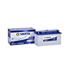 VARTA Blue Dynamic 輸入車用バッテリー LN5 (595 402 080) L353mm × W175mm × H190mm
