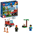 レゴ(LEGO) シティ バーベキューの火事 60212 ブロック おもちゃ 男の子