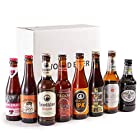 【WEB限定】世界のビールBOX(ヨーロッパ編) 8本飲み比べ [ ドイツ 2560ml/8本 ]